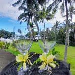 Wellesley Resort Fiji - Mountain view