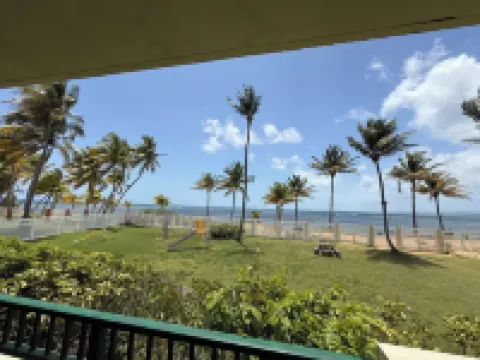 Beachfront Garden Apartment with Ocean View. This unit is fully equipped.