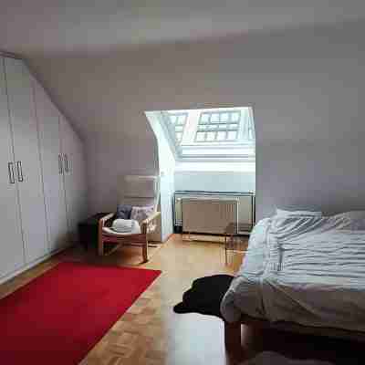 Central Vienna Apartment - Museum district with A/C Rooms