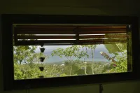 Villa Chevalier Las Terrenas 4BDR 5BDS 10PAX