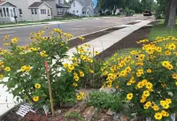 Renovated 1888 Gem in Original Little Falls - Clean, Comfy, WiFi, Pets Welcome