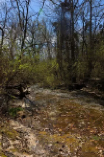 Nature Retreat Near White River