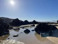 Mobilhome et Terrasse au Coeur de la Foret des Landes Dans un Parc Residentiel