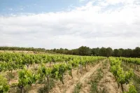 Country house in cellar between Penedès vineyards Alt Penedes 호텔