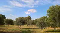 Trullo SILVESTRE, holiday home in Valle d'Itria Hotels in Cisternino