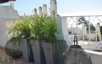 Ocean Terraces J