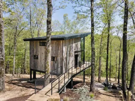 Tree + House at Indian Point