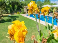 Casa Alba - Villa With Private Pool In Manacor - Villas