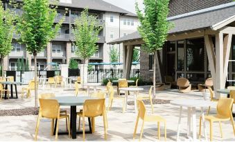 Landing Apartments At Town Madison