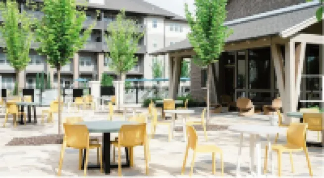 Landing Apartments At Town Madison