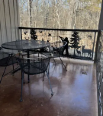 Beautiful cabin near Sardis Lake 3 miles to Sardis Lake