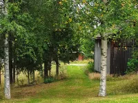 4 person holiday home in JÄRVSÖ-By Traum - Wifi