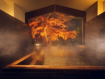 スパ・大浴場 星野リゾート 界 箱根の写真