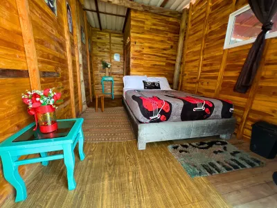 Freedom Beach Club Hotels in 