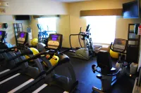 Holiday Inn Express & Suites SUPERIOR - DULUTH AREA by IHG - Gym