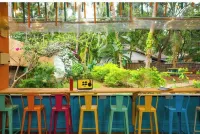 고스탑스 고아, 칼랑구트 라이트