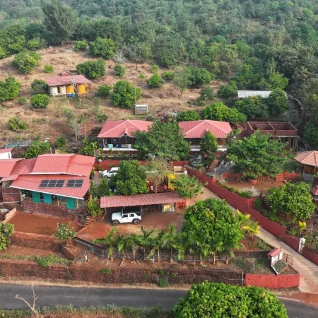 The Alphonso Mango County