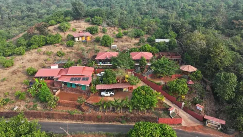 The Alphonso Mango County
