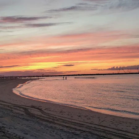 Pets Welcome: Beachfront Family Retreat in Norfolk