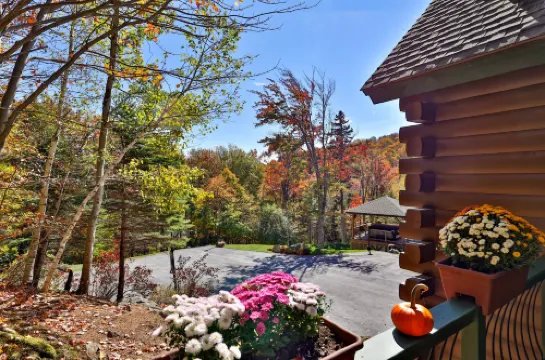 Ski-in/Ski-Out Access and Hot Tub - Luxurious Mountain Escape