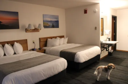 Can Am Inn Hotéis em 