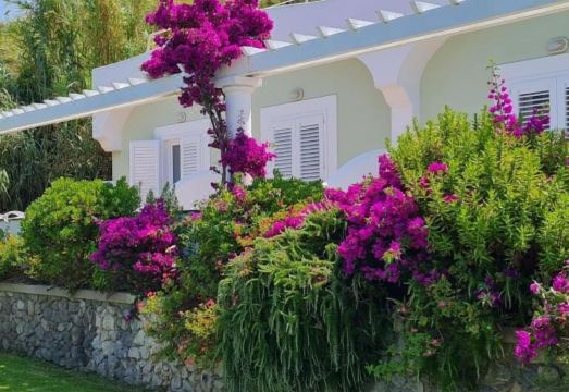 알바트로스 레스토랑