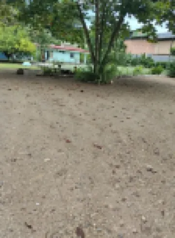 伊達爾戈別墅小屋