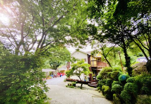 단양 샘골산장펜션