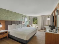 Kozy Hotel Dallas DFW Airport Area West Hotels in Bedford