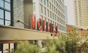Mollie's Manchester - Housity