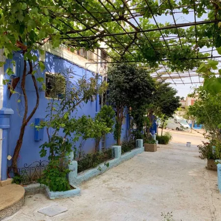 Dar Saida Hora