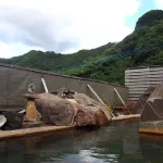 Minshuku - Unagi Kohan - Kuumat lähteet