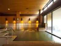 Shirakawago No Yu Hotel - Hot Springs