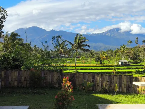 Botanika Estate