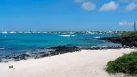The Island Home - Afhentnings-/afleveringstjenester