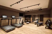 斯卡爾德酒店阿克雷裏，希爾頓Curio精選系列 - 健身室/gym room