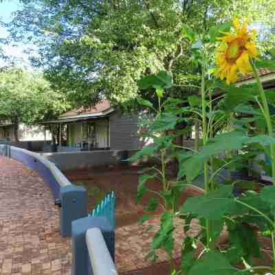 Damara Mopane Lodge Hotel Exterior