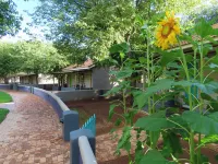 Damara Mopane Lodge - Homestays