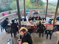 Swell Eco Lodge - breakfast