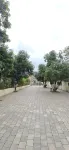 Hotel Asopalav By Harmony Junagadh - 2-Star