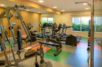 Rio Hotel by Bourbon Campinas - Gym