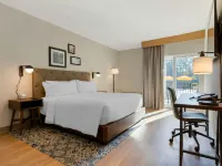 Four Points by Sheraton Myrtle Beach Hotels near Myrtle Waves