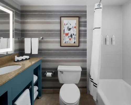 Embassy Suites by Hilton Phoenix Biltmore Rooms Photos