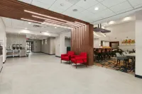Hampton Inn & Suites Houston - Rosenberg - Wifi