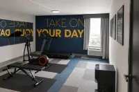 Comfort Inn & Suites - Pet friendly