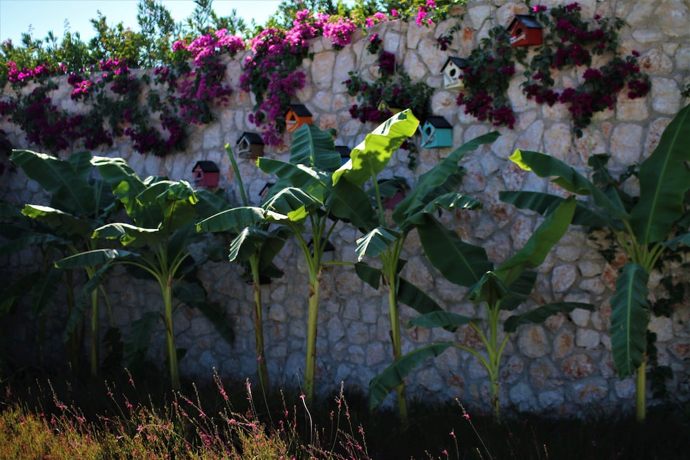 Soul of Alacati Beach Resort