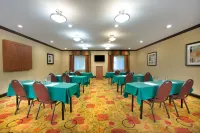 Holiday Inn Express & Suites Anderson-I-85 (Hwy 76, EX 19B)