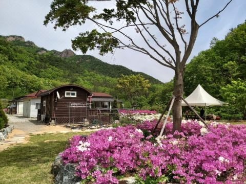 상주 문장대 힐링하우스