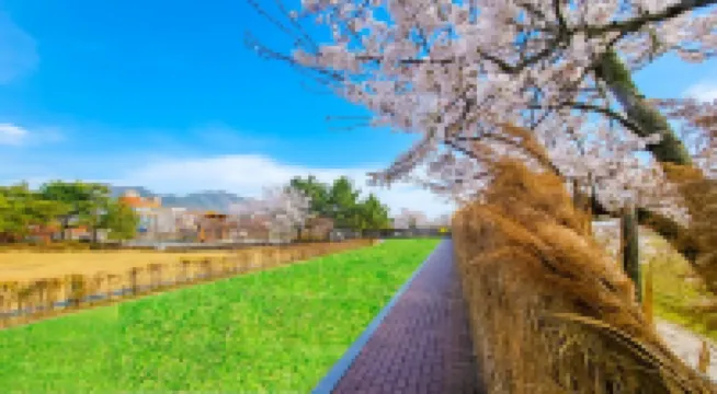 Suncheon Suncheon Bay Eco Village 2 Pension