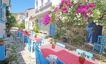 Albatros Hotel - Housity